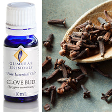 Load image into Gallery viewer, Buckley &amp; Phillips Gumleaf Essential Oil Pure - Clove Bud (Syzygium aromaticum)
