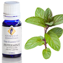Load image into Gallery viewer, Buckley &amp; Phillips Gumleaf Essential Oil Pure - Peppermint - Australian (Mentha x piperita)
