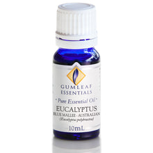 Load image into Gallery viewer, Buckley &amp; Phillips Gumleaf Essential Oil Pure - Eucalyptus Blue Mallee (Eucalyptus polybractea)
