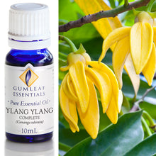 Load image into Gallery viewer, Buckley &amp; Phillips Gumleaf Essential Oil Pure - Ylang Ylang Complete (Cananga odorata)
