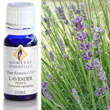 Load image into Gallery viewer, Buckley &amp; Phillips Gumleaf Essential Oil Pure - Lavender - French (Lavandula angustifolia)
