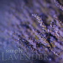Load image into Gallery viewer, Lavender Reed Oil Diffuser Refill
