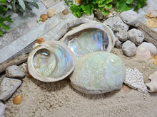 Load image into Gallery viewer, Australian Raw Natural Abalone Shell Small
