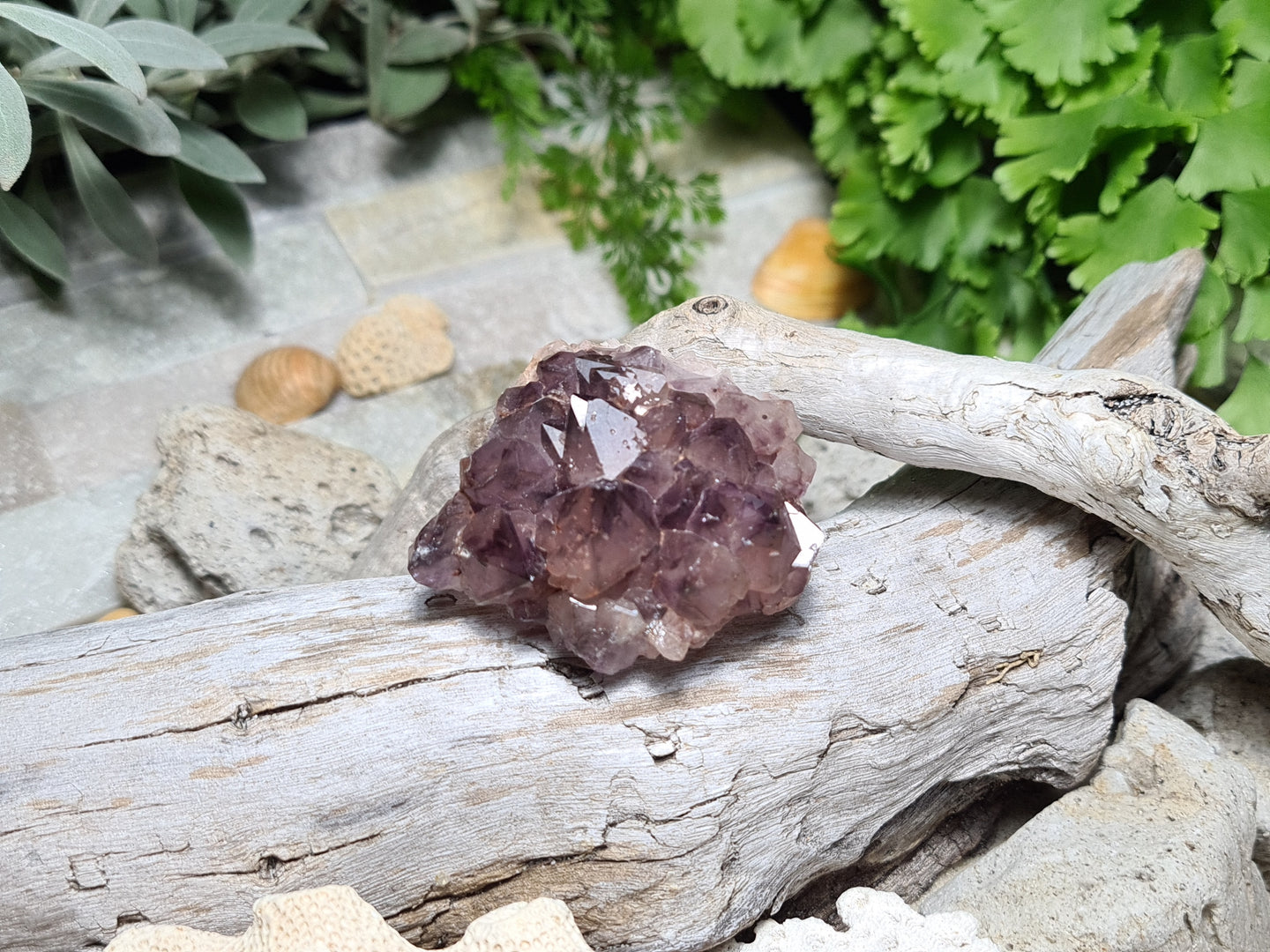 Smokey Quartz Cluster Point with Hematite (6) -  (Australian private Collection) Crystal Gem Stone