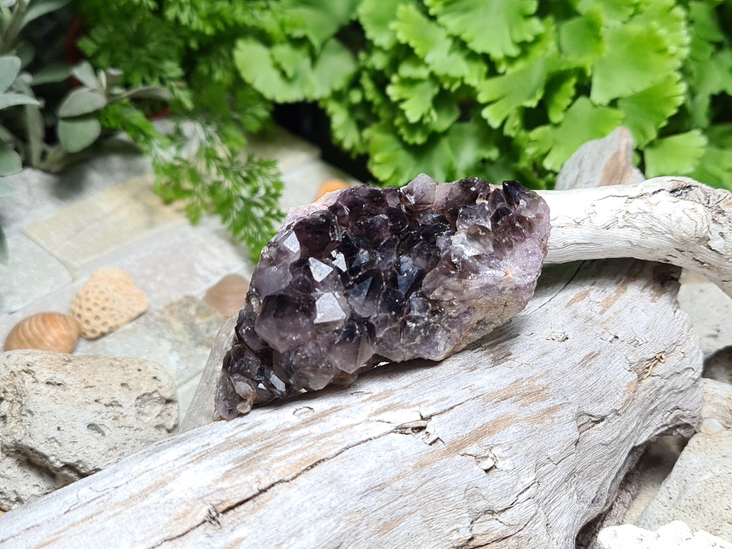 Smokey Quartz Cluster Point with Hematite (2) -  (Australian private Collection) Crystal Gem Stone